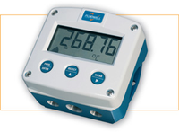 Fluidwell F040 Basic Temperature Indicator