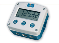Fluidwell F010 Flow Rate Indicator